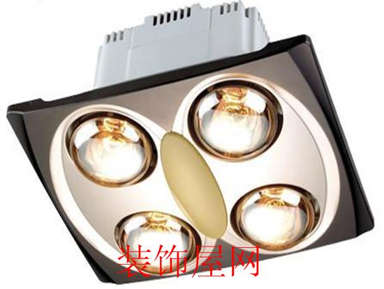 Image title