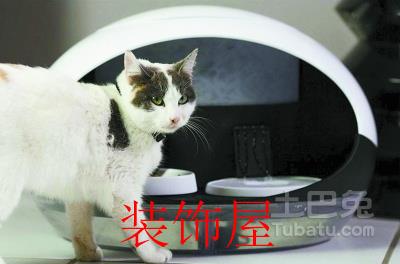 居家生活也有“黑科技” 厨余垃圾变肥料 居家生活也有“黑科技” 厨余垃圾变肥料