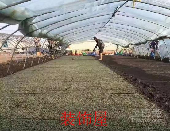 卡萨帝“良田计划”落地:用户收到土地认领合同